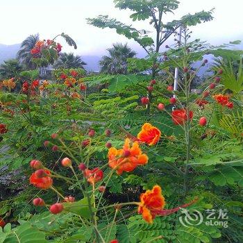 陵水香水湾海景度假公寓精选旅租酒店提供图片