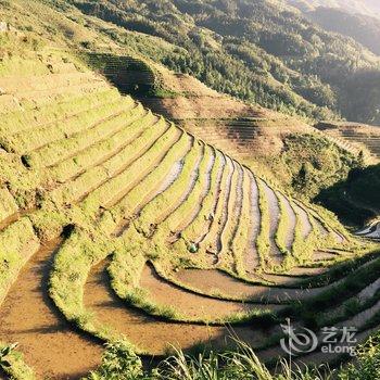 桂林龙脊金田宾馆酒店提供图片