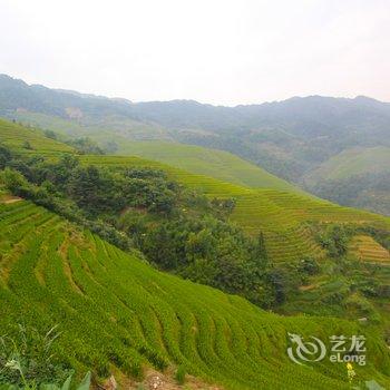 桂林龙脊金田宾馆酒店提供图片