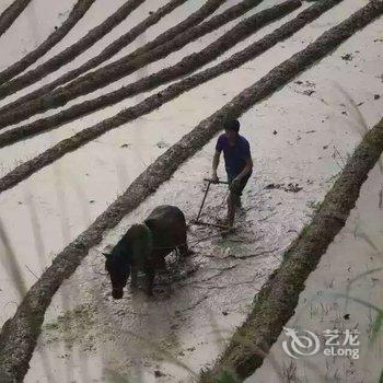 桂林龙脊金田宾馆酒店提供图片