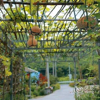 莫干山绿竹红坊住宿酒店提供图片