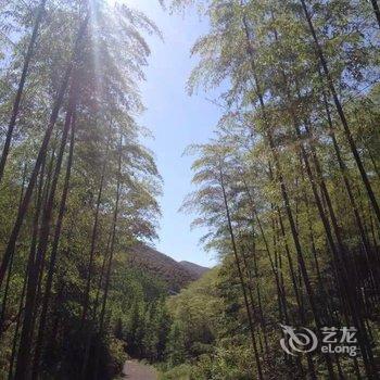 莫干山曼居后坞酒店提供图片