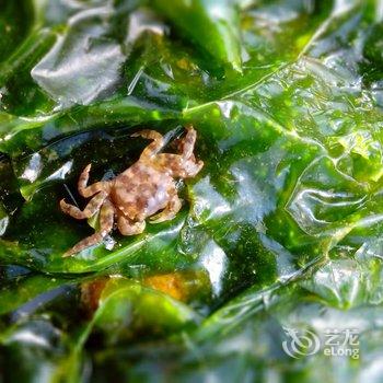 北戴河素兰小院酒店提供图片