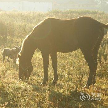 丽江骏逸骑士会度假山庄酒店提供图片