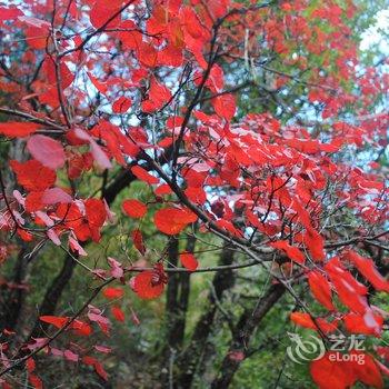 理县毕棚沟聚源山庄酒店提供图片