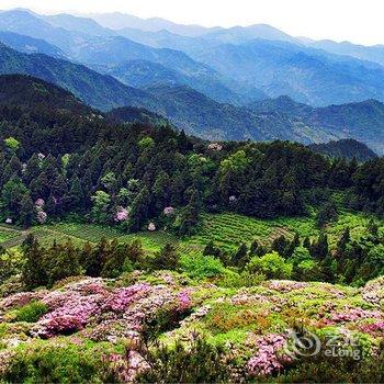 天台塔后五好民宿酒店提供图片