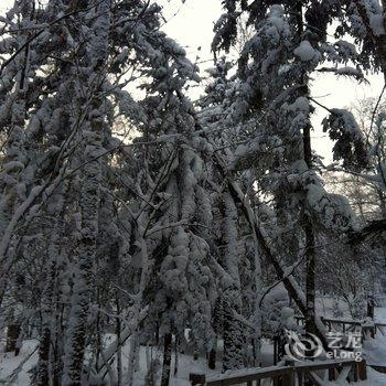 雪乡二浪河瑞雪客栈酒店提供图片