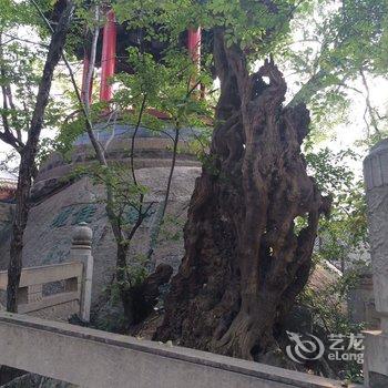 华山秦风客栈酒店提供图片