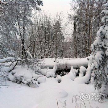 雪乡二浪河瑞雪客栈酒店提供图片