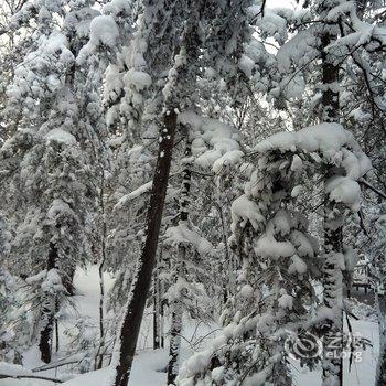 雪乡二浪河瑞雪客栈酒店提供图片