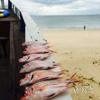 北海涠洲岛黄金海岸沙滩度假木屋酒店提供图片