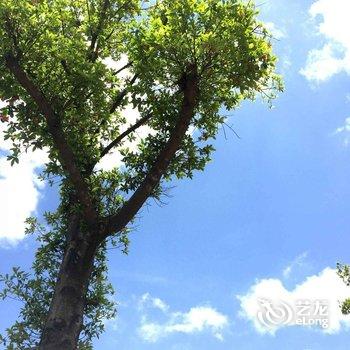 武夷山听荷雨客栈酒店提供图片