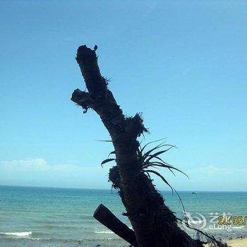 ������޵����ļ��տ�ջ�Ƶ��ṩͼƬ