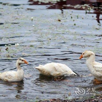 泸沽湖里格卓玛家园客栈酒店提供图片