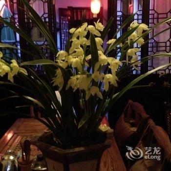 苏州同里林家客栈酒店提供图片