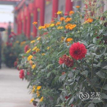 中卫沙坡头田家大院住宿农家乐酒店提供图片