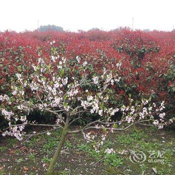 常州半陶山庄生态休闲度假村宾馆酒店提供图片