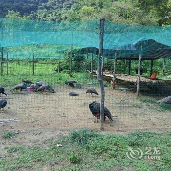 荔波茂兰好友之家客栈酒店提供图片