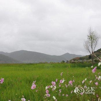 泸沽湖卓吉大酒店酒店提供图片