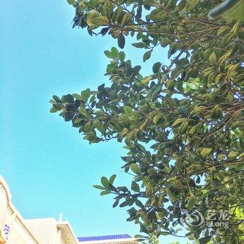 涠洲岛云莱客栈酒店提供图片