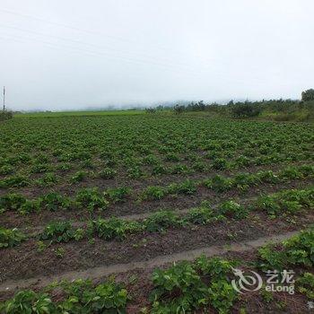 腾冲和顺紫瑞居客栈酒店提供图片