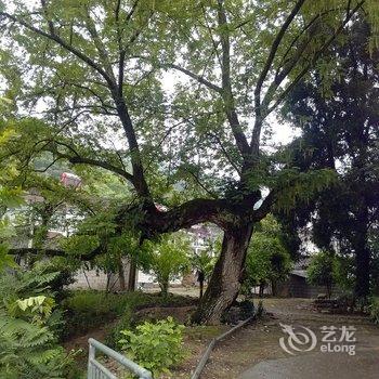 张家界晓晓客栈酒店提供图片