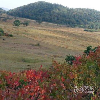 赤峰克什克腾旗希林奈尔度假村酒店提供图片