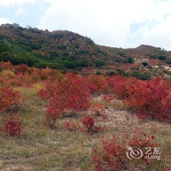 赤峰克什克腾旗希林奈尔度假村酒店提供图片