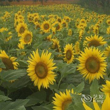 长白山80后客栈酒店提供图片