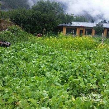 雨崩村念家客栈酒店提供图片