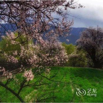 西藏林芝波密县苍洱商务宾馆酒店提供图片