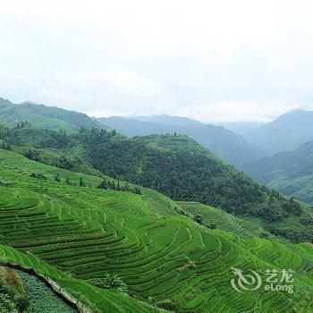 桂林龙胜畔山阁酒店提供图片