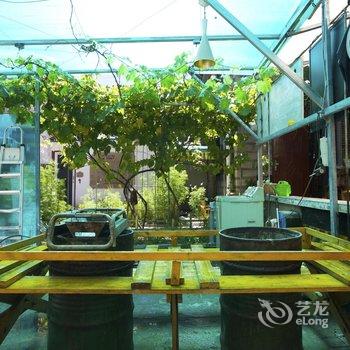 拉萨捌零乌托邦客栈酒店提供图片
