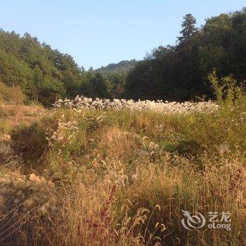 大别山铜锣寨景区云雾山庄酒店提供图片