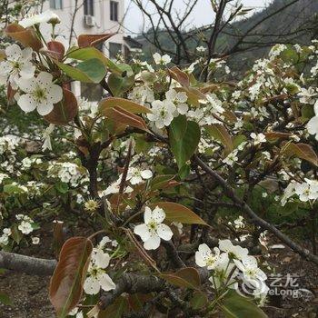 雁荡山雁之湖山庄酒店提供图片