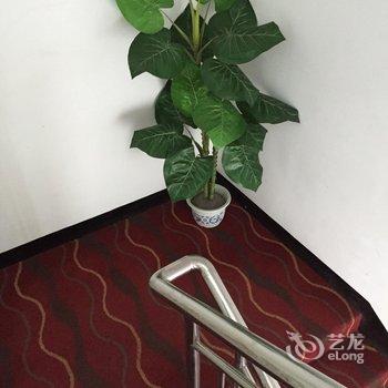 泰州龙园招待所酒店提供图片