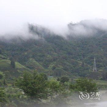 武夷山夷兰茶文化体验基地酒店提供图片