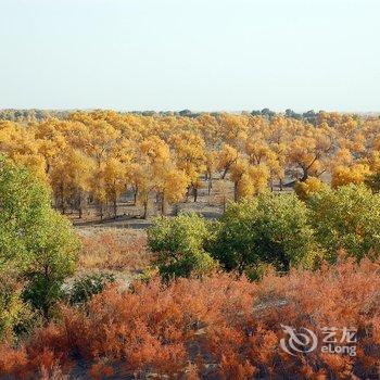 库尔勒龙行青年旅舍酒店提供图片