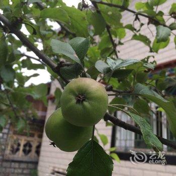 林芝波密相见雪山客栈酒店提供图片