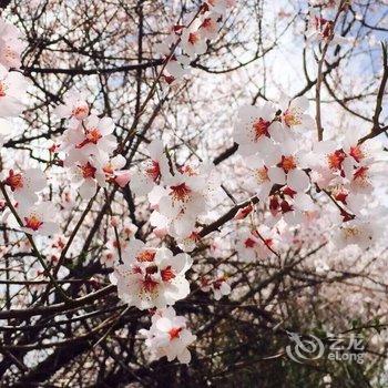 林芝波密相见雪山客栈酒店提供图片