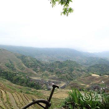 桂林龙胜竹林山居酒店提供图片