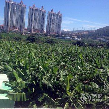 南澳青澳湾家庭宾馆酒店提供图片