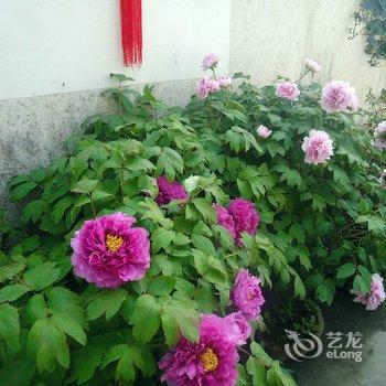 宏村东门庭院农家乐酒店提供图片