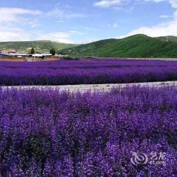 川主寺藏忆假日酒店(松潘)酒店提供图片