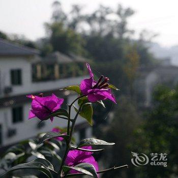 重庆友缘山庄酒店提供图片