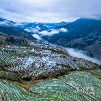 龙胜龙脊古树农家酒店提供图片