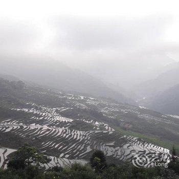 龙胜龙脊古树农家酒店提供图片