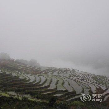 龙胜龙脊古树农家酒店提供图片