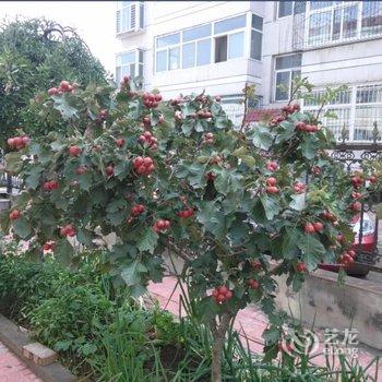 平遥古城老兵之家酒店提供图片