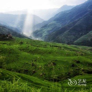 龙胜龙脊古树农家酒店提供图片